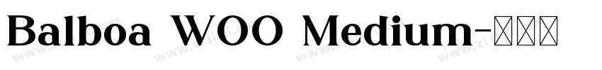 Balboa W00 Medium字体转换